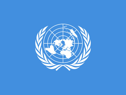 Проект для ООН